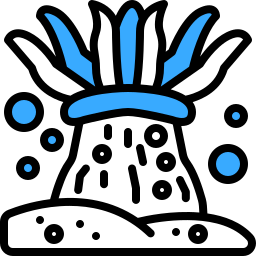 아네모네 icon