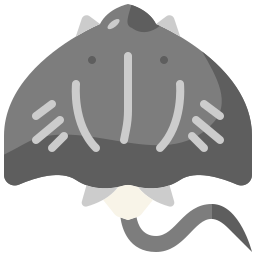 Stingray icon