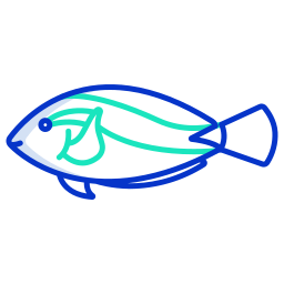 peixe cirurgião Ícone
