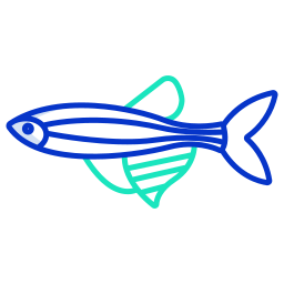 fisch icon