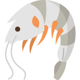 Shrimp icon