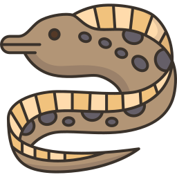 Eel icon