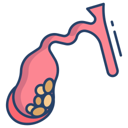 Gallbladder icon