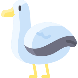 albatroz Ícone