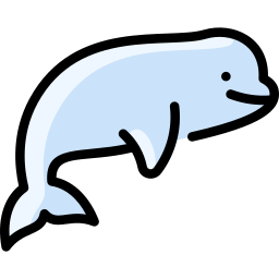 beluga Ícone