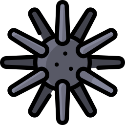 seeigel icon