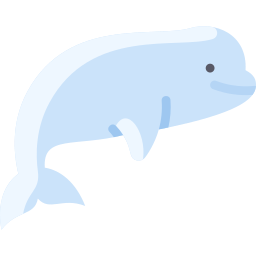beluga icona
