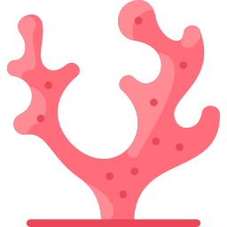 Coral icon