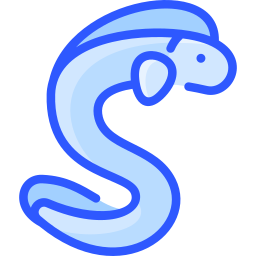 Eel icon