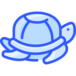 Turtle icon