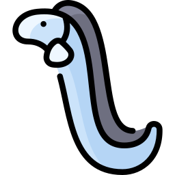 Eel icon