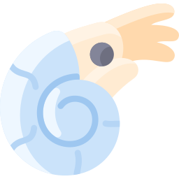 Nautilus icon