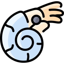 nautilus icon