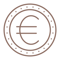 Euro icon