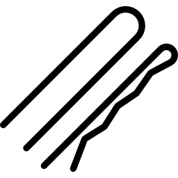 Two Hairpins icon