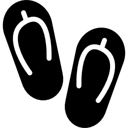 Pair of Sneakers icon