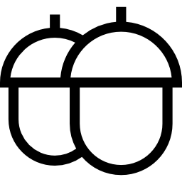 Two Acorns icon