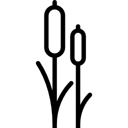 Два тростника иконка
