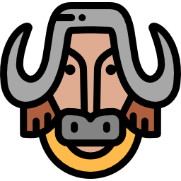 Bison icon
