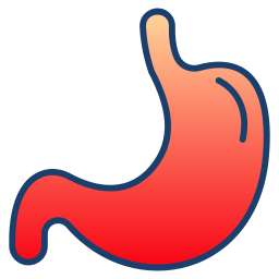 Stomach icon