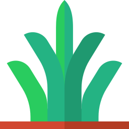 arbusto icono