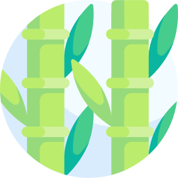 Bamboo icon