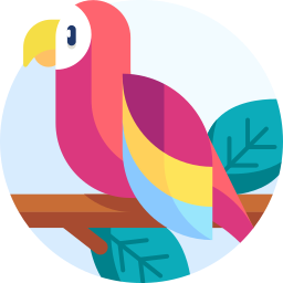 papegaai icoon