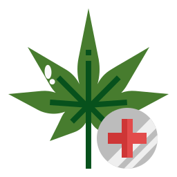 Medical purpose icon