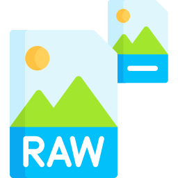 archivo raw icono