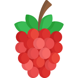 Raspberry icon