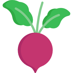 Beet icon