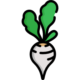 Radish icon