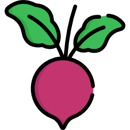 Beet icon