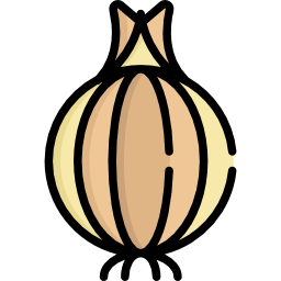 Onion icon