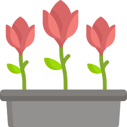 Tulips icon