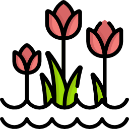 tulpen icoon