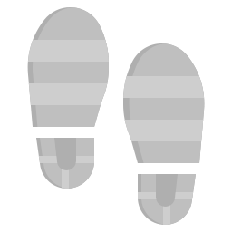 Footprint icon