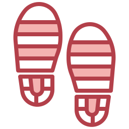 Footprint icon