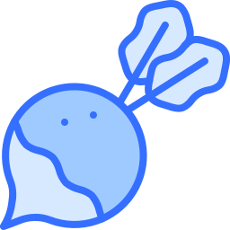 Radish icon