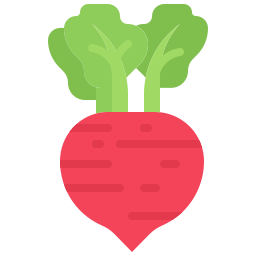 Beet icon