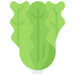 Lettuce icon