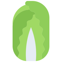 kohl icon