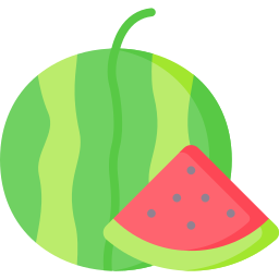 Watermelon icon