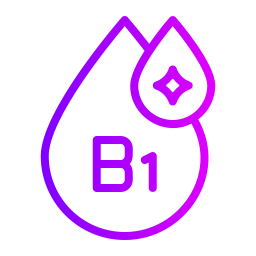 b1 icoon