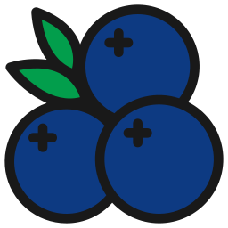 Blueberry icon