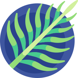 пальмовый лист иконка