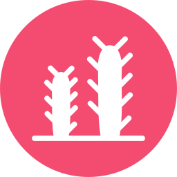 Cactus icon