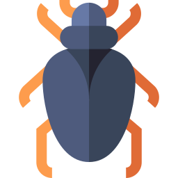 Beetle icon