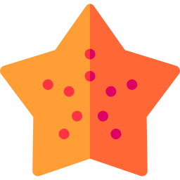 Sea star icon