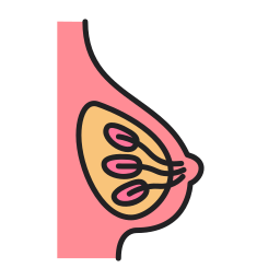 Breast icon